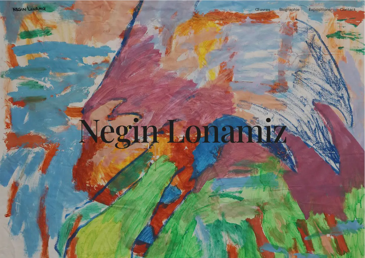 Aperçu du portfolio de Negin Lonamiz