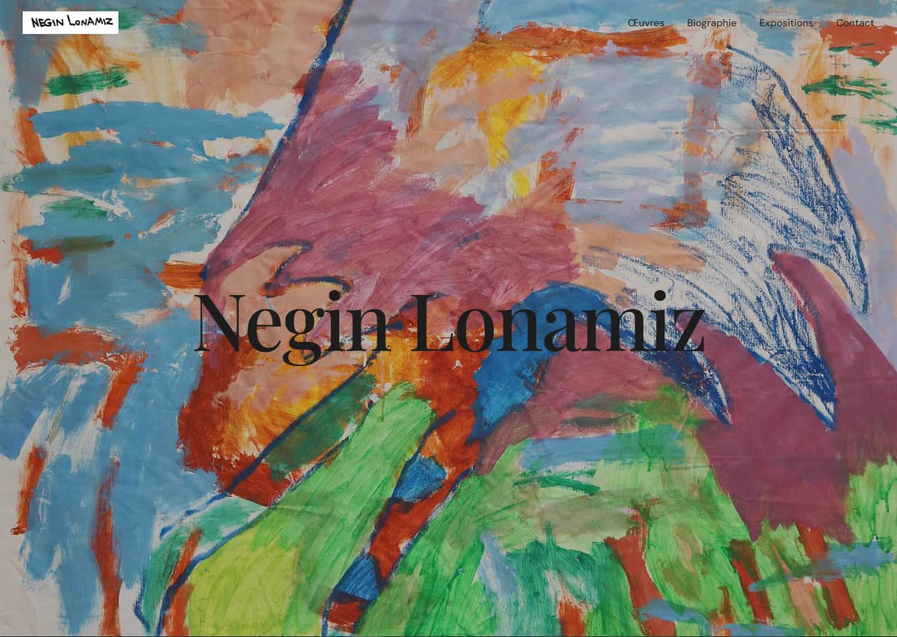 Negin — aperçu du projet